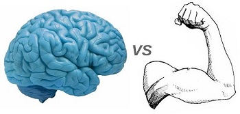 Neuroplaszticit�s
