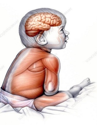 Neuroplaszticit�s